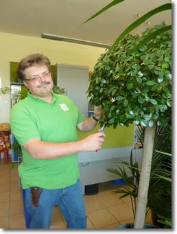 Wolfgang Weitmann Raumbegrünung